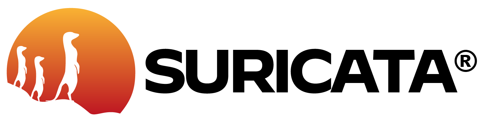Logo Docker